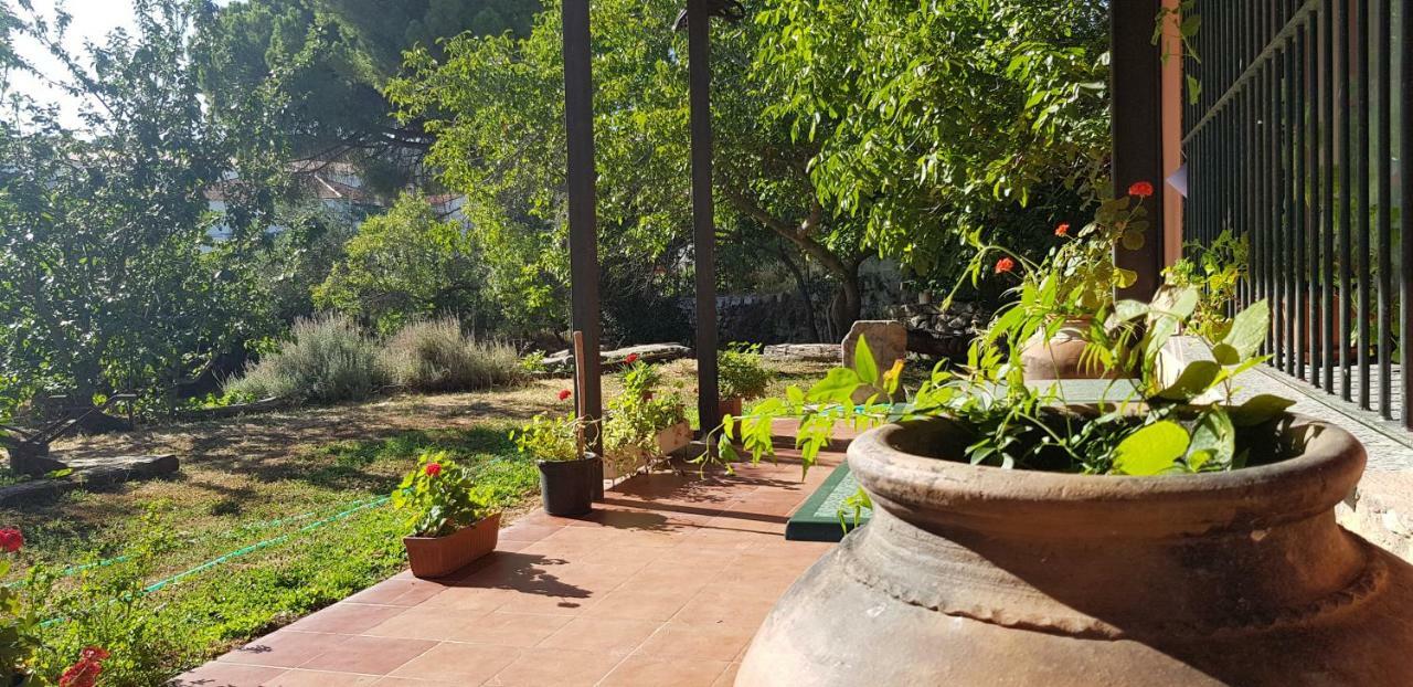 Apartamentossierradegata La Noguera Villamiel エクステリア 写真
