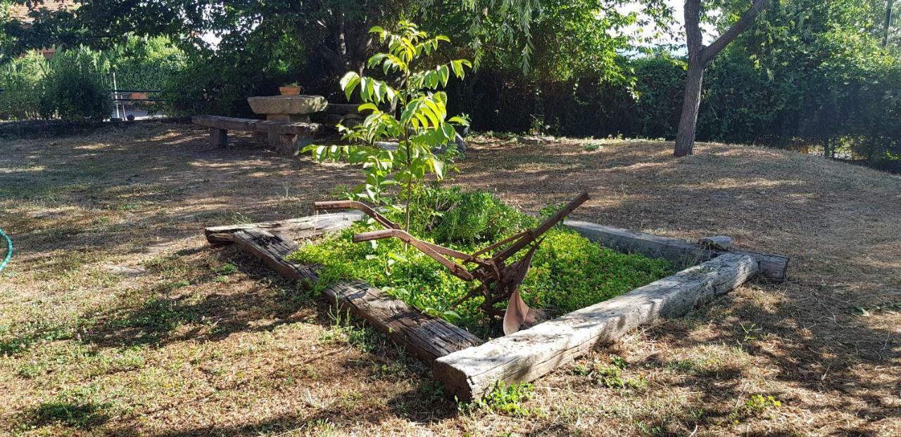 Apartamentossierradegata La Noguera Villamiel エクステリア 写真