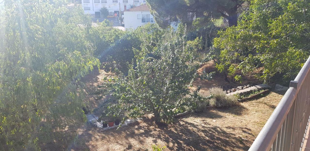 Apartamentossierradegata La Noguera Villamiel エクステリア 写真